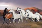 plakaty-bob-langrish-dusk-7535.jpg