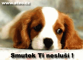 smutek_ti_neslusi.gif